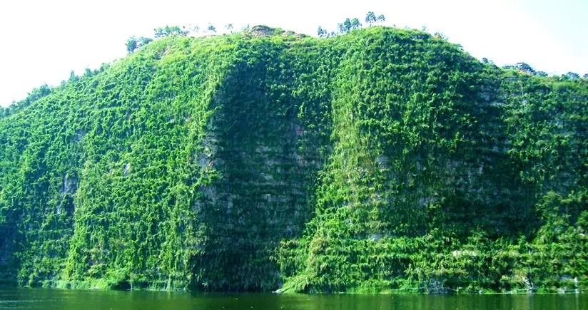 1540517703857499.jpg 1540517703857499.jpg