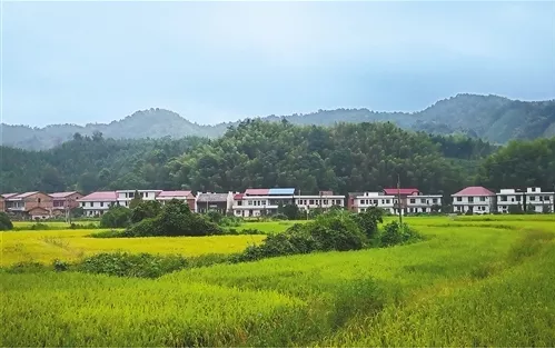 1548914333980205.png image.png