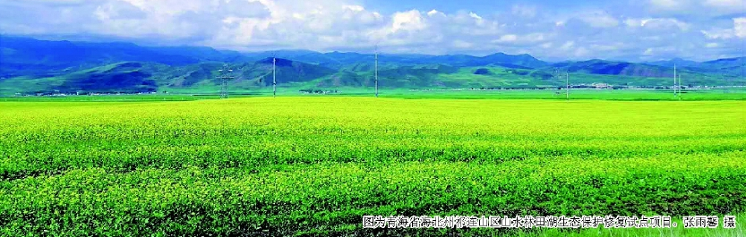 1548922402895789.png 1548922402895789.png