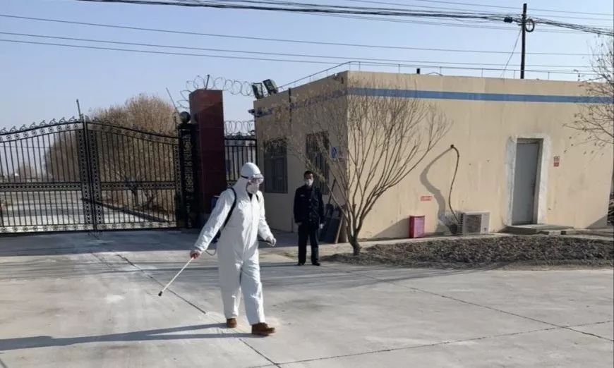 1581476885312290.jpg 4.jpg