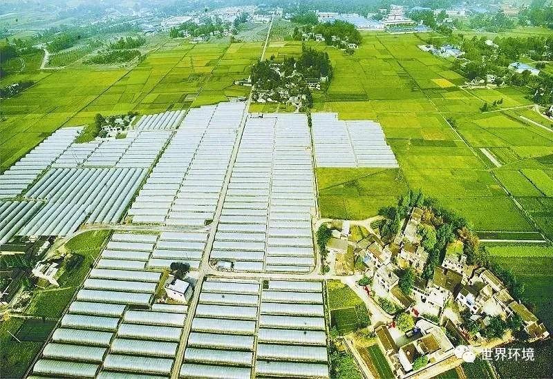 1597738963910699.jpg 2.jpg