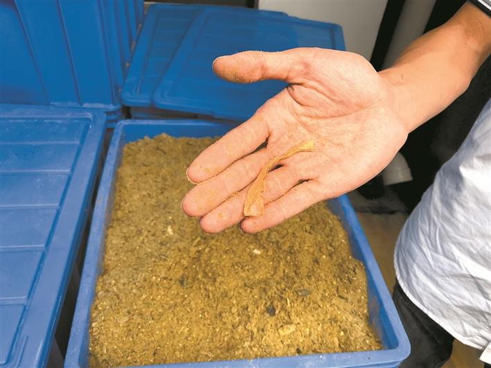 1600046619520267.jpg 99f5a3f3-ad35-40fa-bd8e-d7dc42820d4f.jpg.jpg