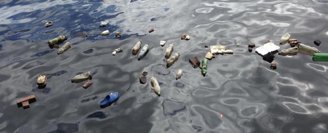 1611808191787022.jpg p25_b.jpg